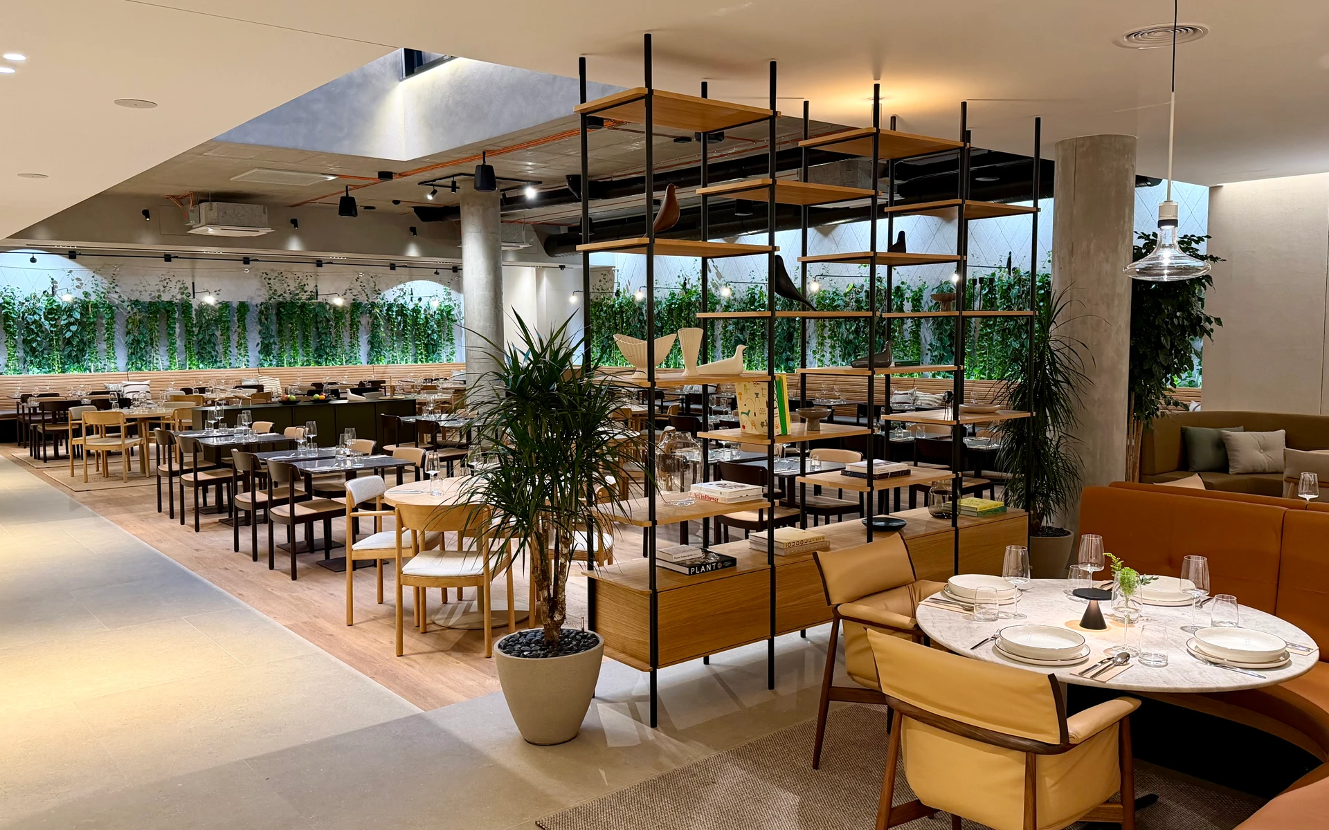 We are back, fully renovated!
